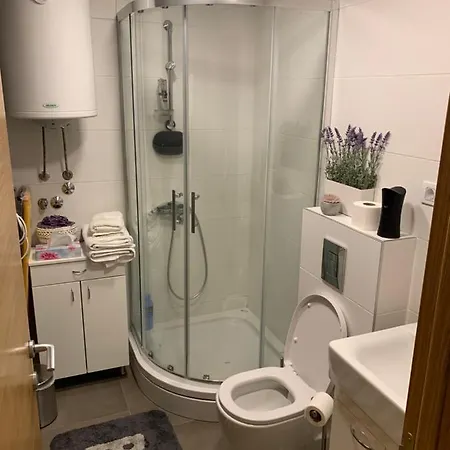 Apartman & Andria Zlatibor